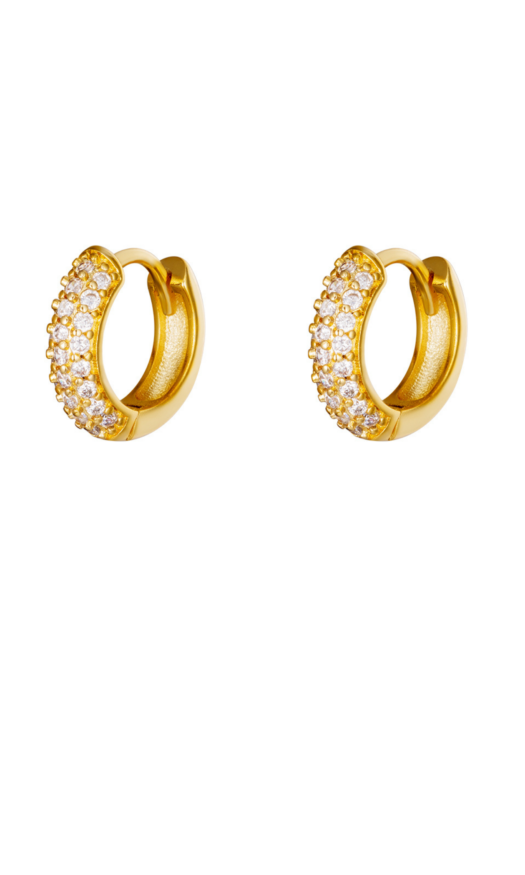 Kleine ronde oorbellen met diamantjes van gouden stainless steel