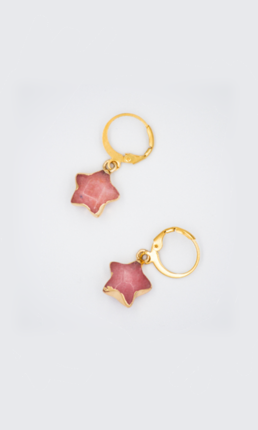 Gouden stainless steel oorbellen met een ster van roze steen