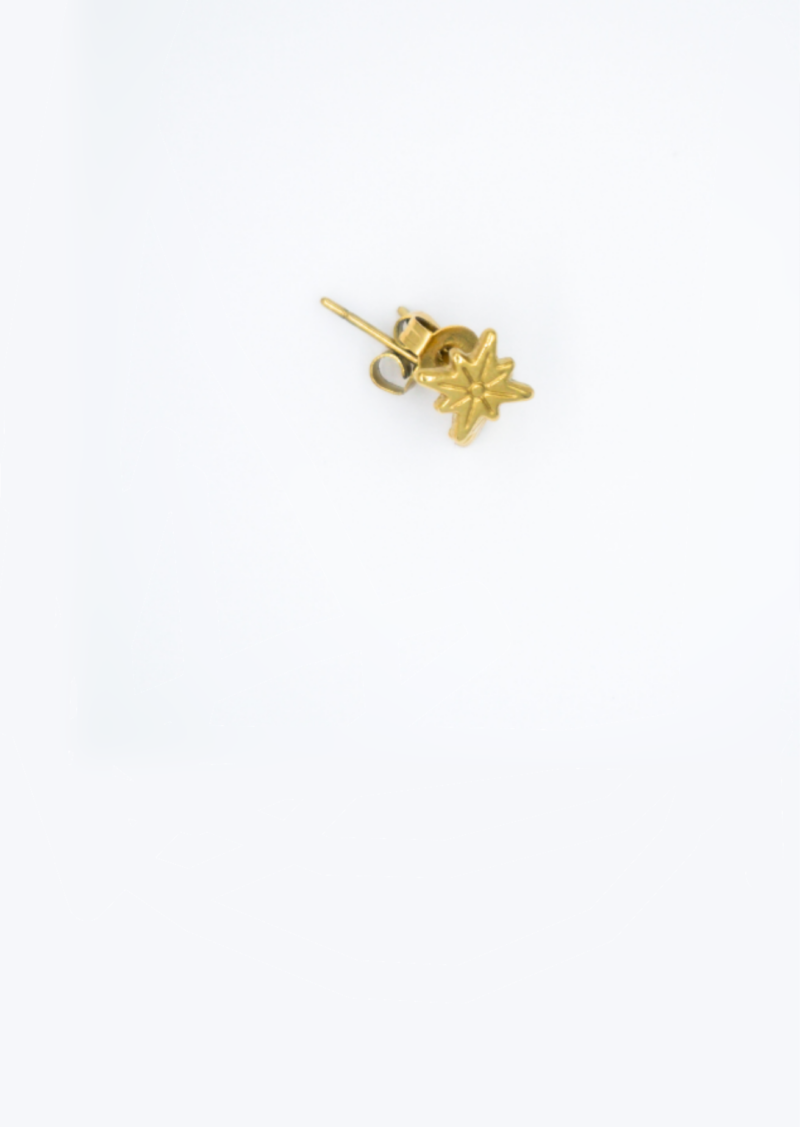 Gouden stainless steel oorsteker met een sterretje