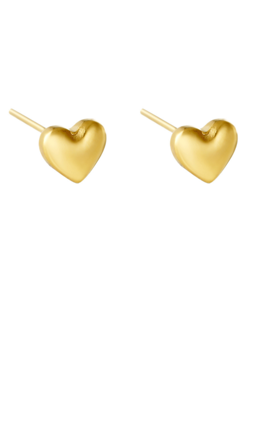 Gouden stainless steel oorstekers met een hartje