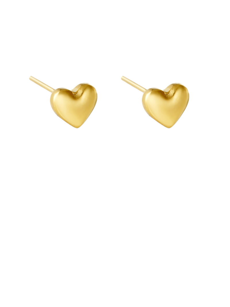 Gouden stainless steel oorstekers met een hartje