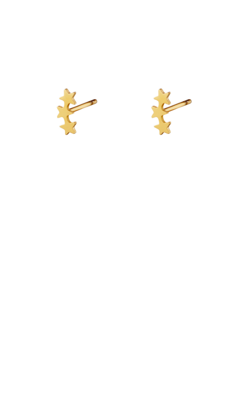 Gouden stainless steel oorstekers met sterretjes
