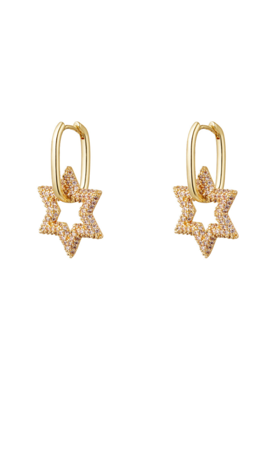 Gouden stainless steel oorbellen met sterren en diamantjes