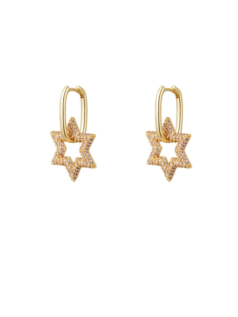 Gouden stainless steel oorbellen met sterren en diamantjes