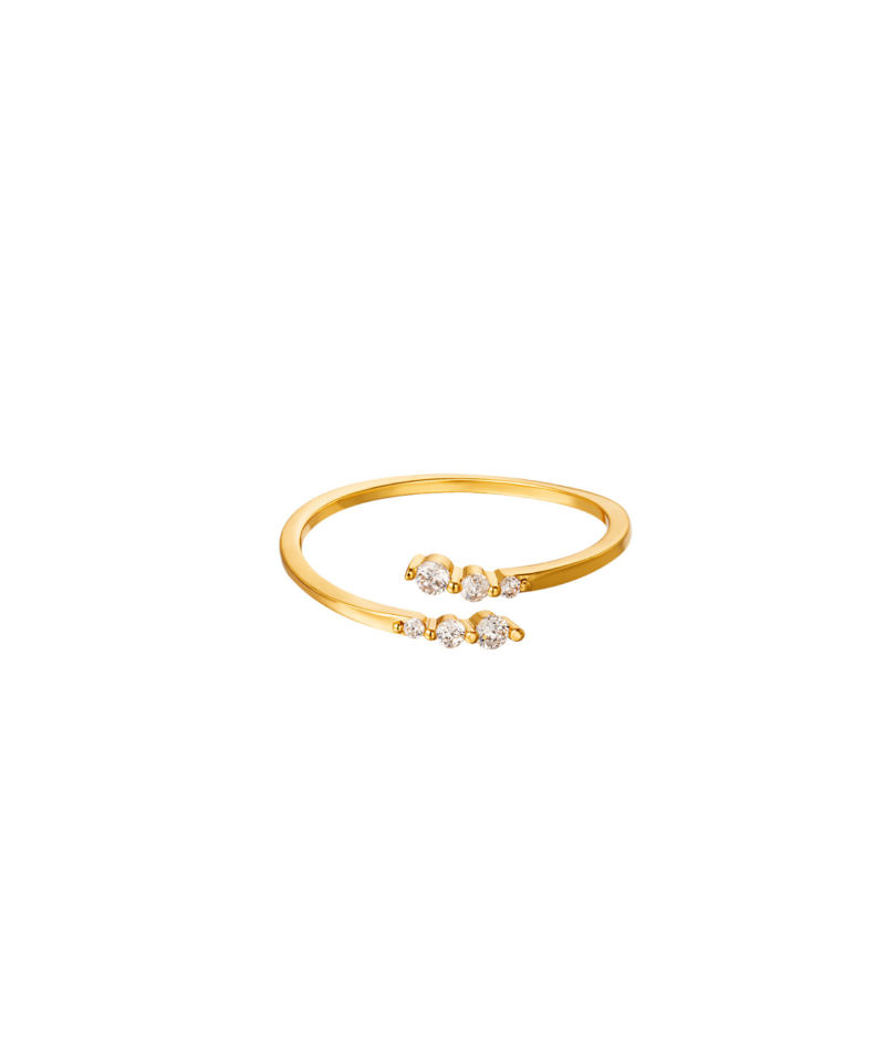Gouden stainless steel ring met kleine diamantjes
